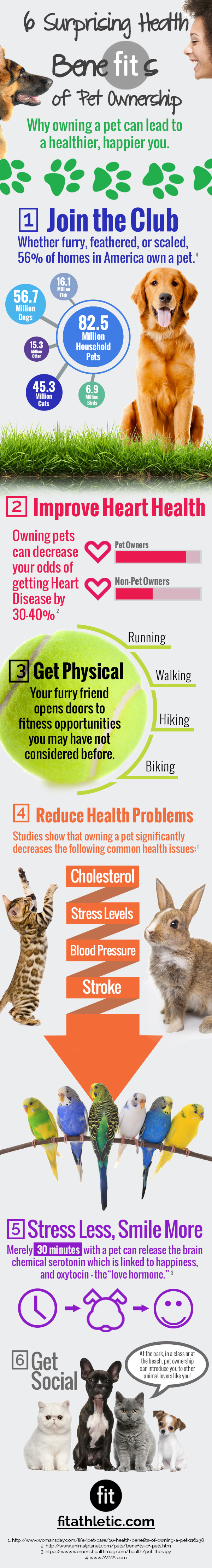 Infographic: 6 Suprising Health Benefits of Pet Ownership