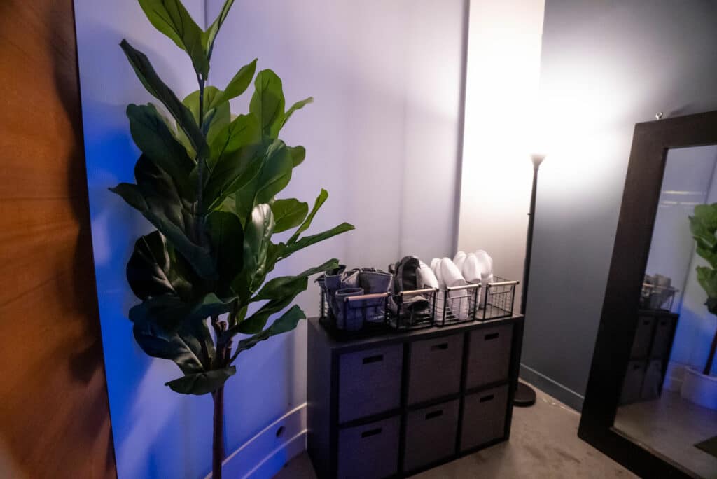 A small room with a plant and a mirror.